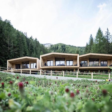 Stelza Nature Chalet วัล ดิ วิซเซ ภายนอก รูปภาพ