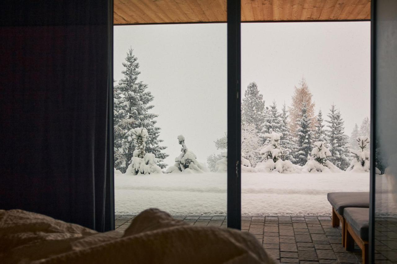 Stelza Nature Chalet วัล ดิ วิซเซ ภายนอก รูปภาพ